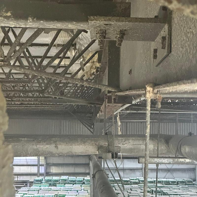 Steel roof purlins and support structure inspection Steel roof purlins and support structure inspection