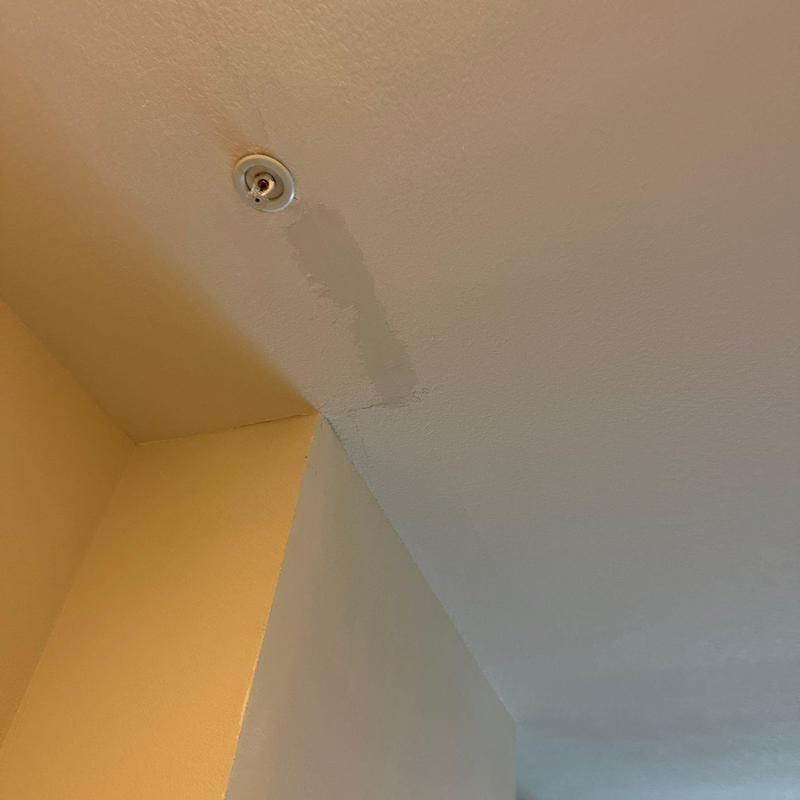 Ceiling fire sprinkler with water damage stain Ceiling fire sprinkler with water damage stain