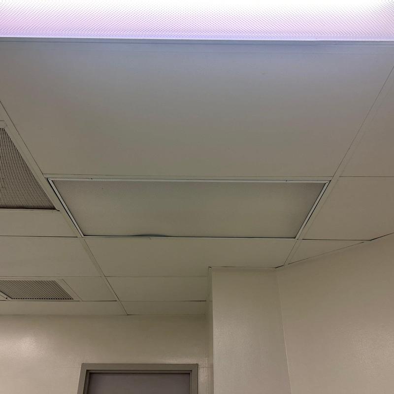 Ceiling panel with visible water damage bulge Ceiling panel with visible water damage bulge