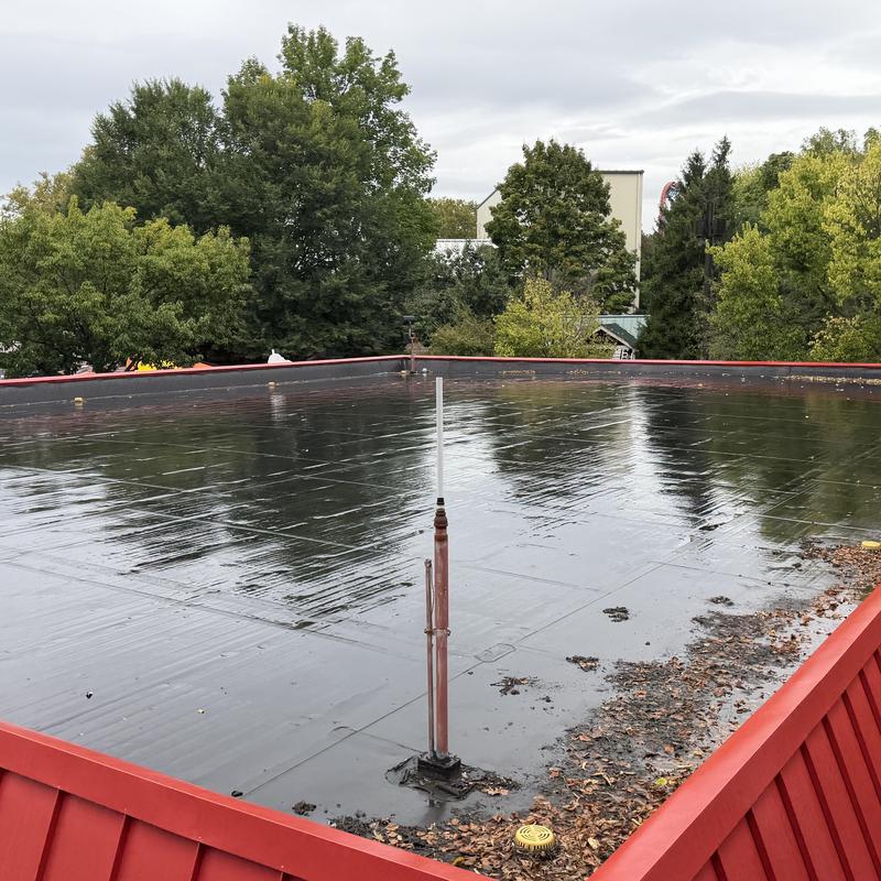 EPDM roof with blocked drains and leaf debris EPDM roof with blocked drains and leaf debris