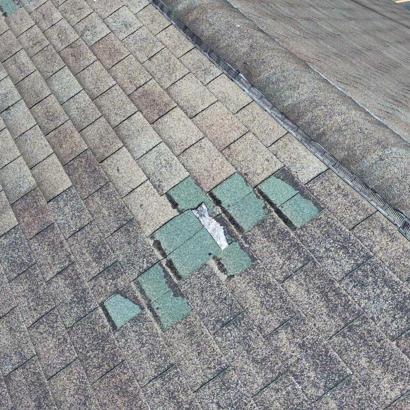 Three tab shingles with storm damage and wear Three tab shingles with storm damage and wear