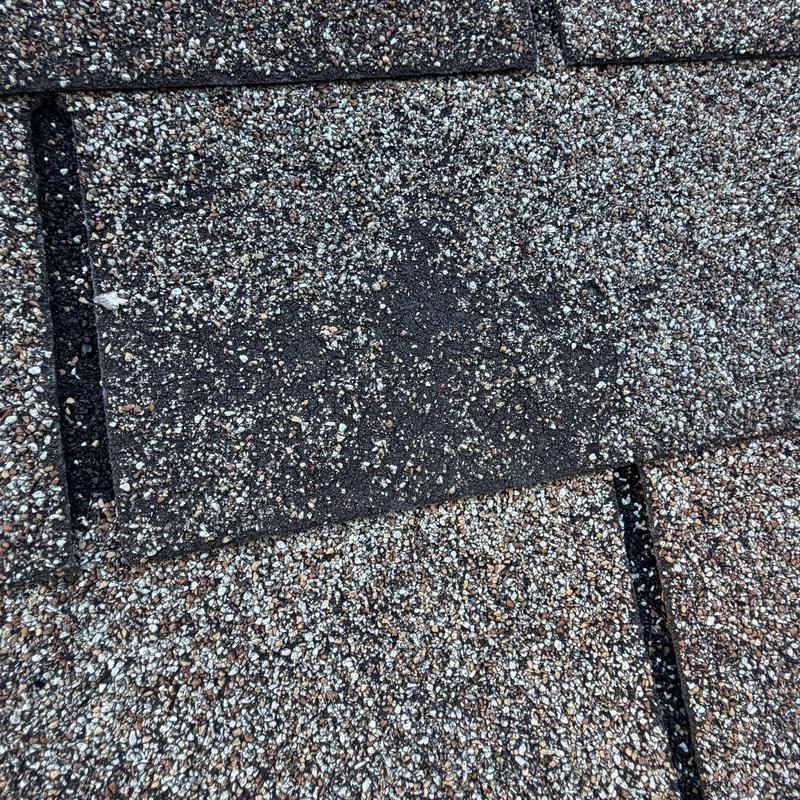 3-tab asphalt shingles with granule loss and damage 3-tab asphalt shingles with granule loss and damage