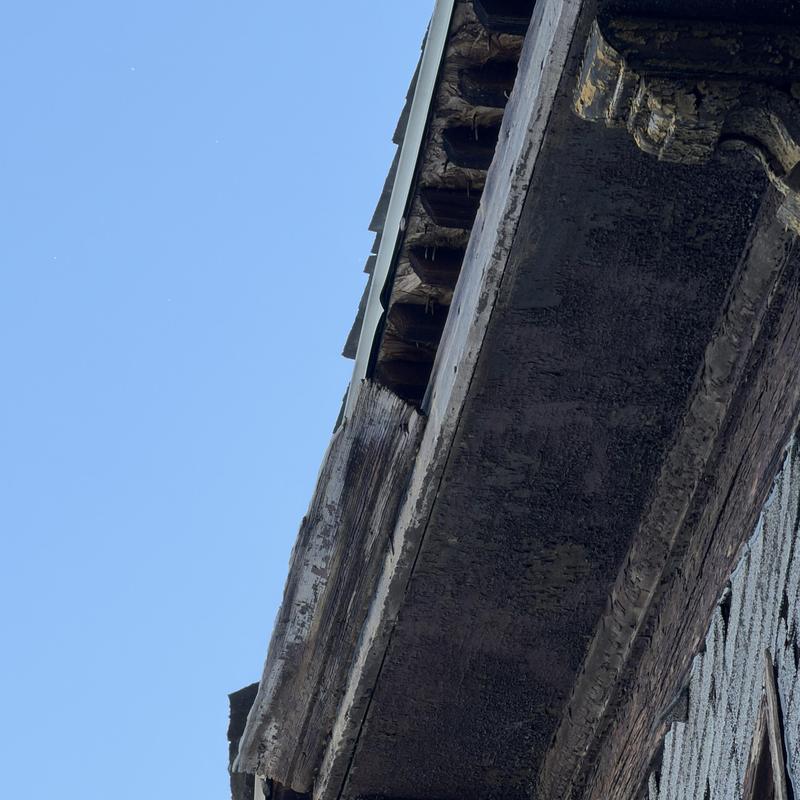 Exposed wooden roof beam with weather damage and repairs needed Exposed wooden roof beam with weather damage and repairs needed