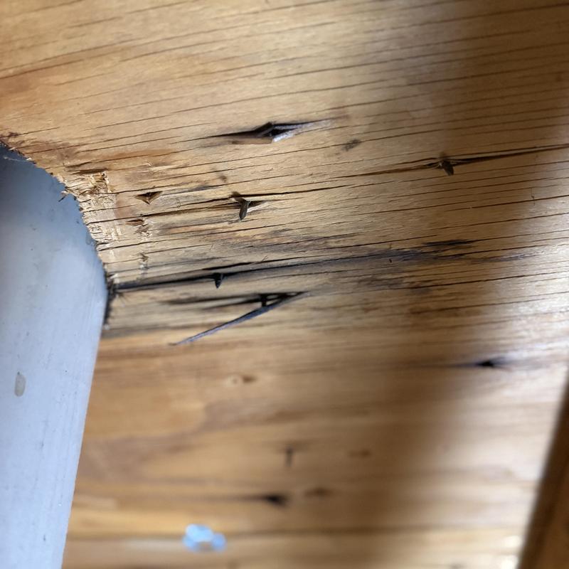 Wooden ceiling damage from water leak and old nails Wooden ceiling damage from water leak and old nails