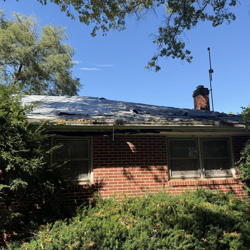 Tar-covered roof with damaged decking and overgrown gutters Tar-covered roof with damaged decking and overgrown gutters