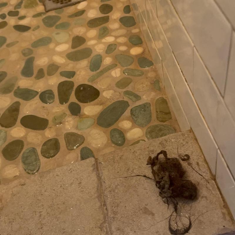Bathtub drain hair clog on stone tile floor Bathtub drain hair clog on stone tile floor