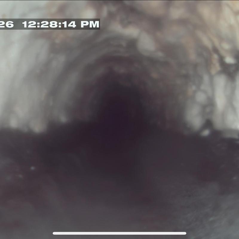 Kitchen drain line grease buildup inspection with camera Kitchen drain line grease buildup inspection with camera