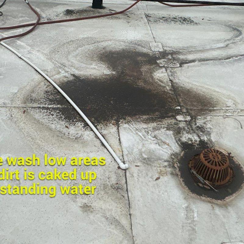 Roof drain with dirt buildup and standing water Roof drain with dirt buildup and standing water