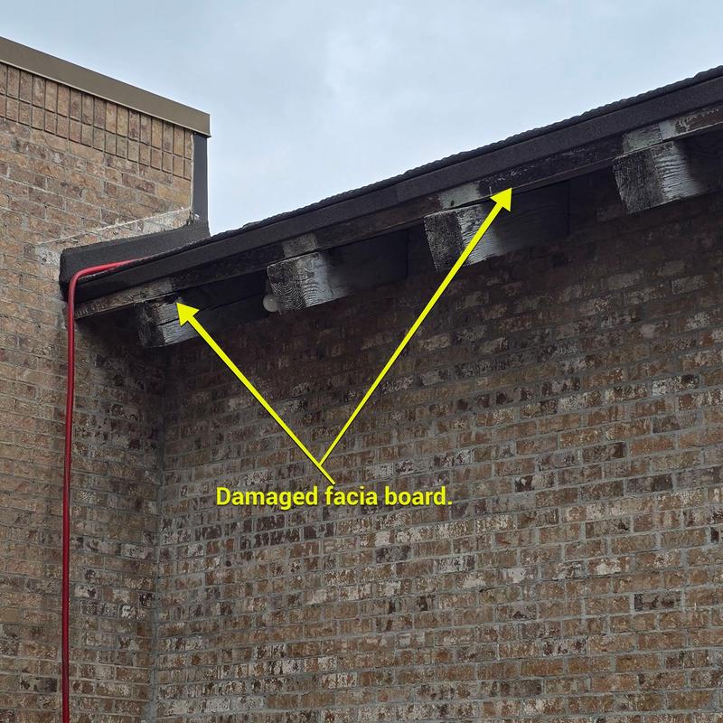Facia board damage on exterior roof edge Facia board damage on exterior roof edge