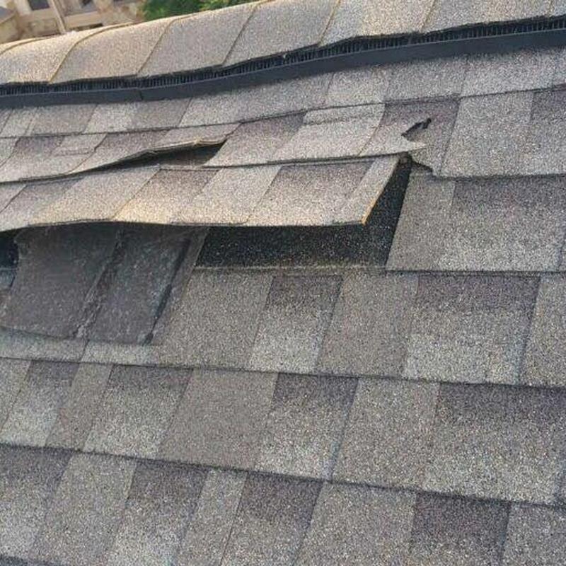 Asphalt shingle roof with lifted and damaged shingles Asphalt shingle roof with lifted and damaged shingles