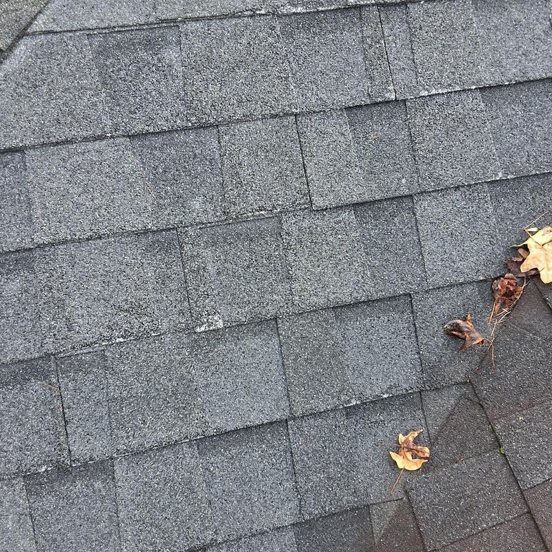 Asphalt shingle roof with minor debris and wear