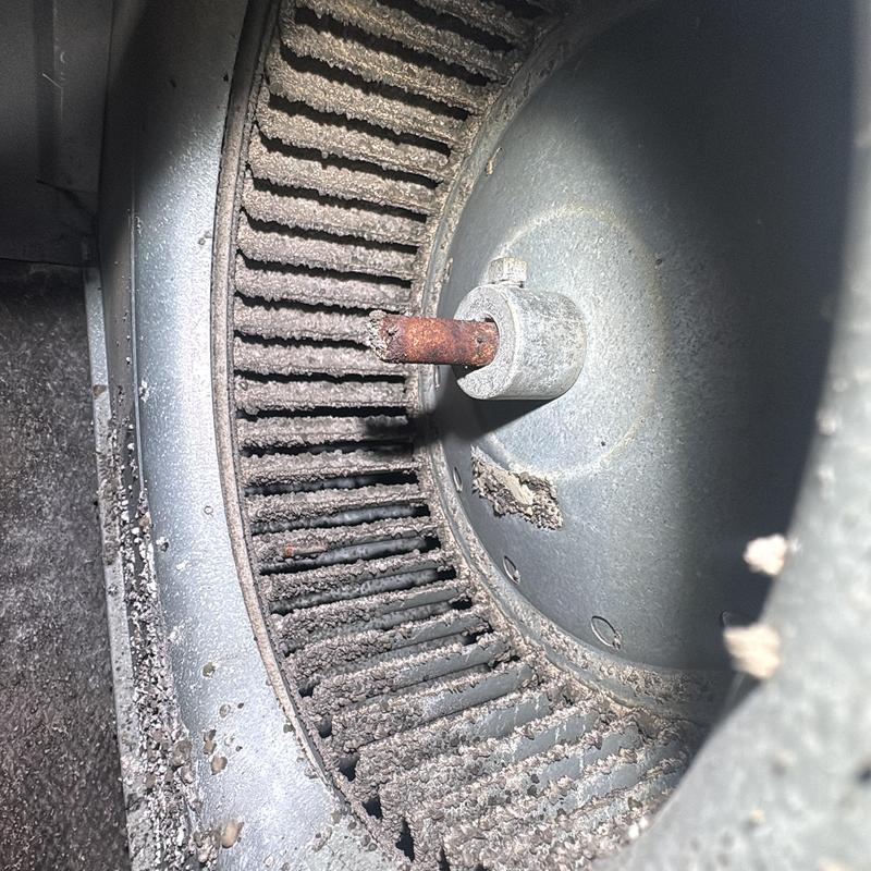 AC blower wheel with dirt buildup inside HVAC system