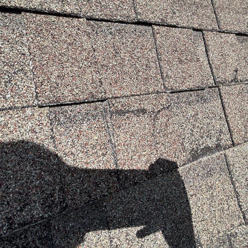 Asphalt shingle roof with hail damage and granule loss