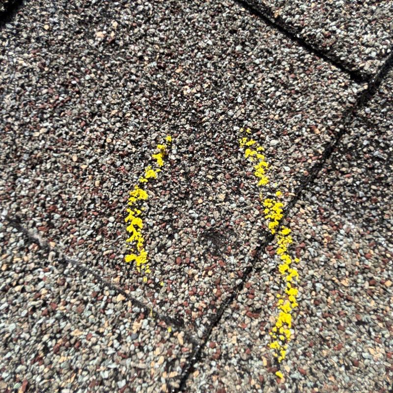Asphalt roof shingles with hail damage marked in yellow