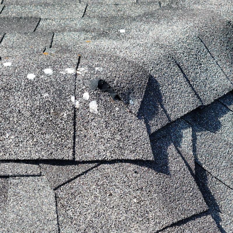Asphalt roof shingles with hail damage and granule loss
