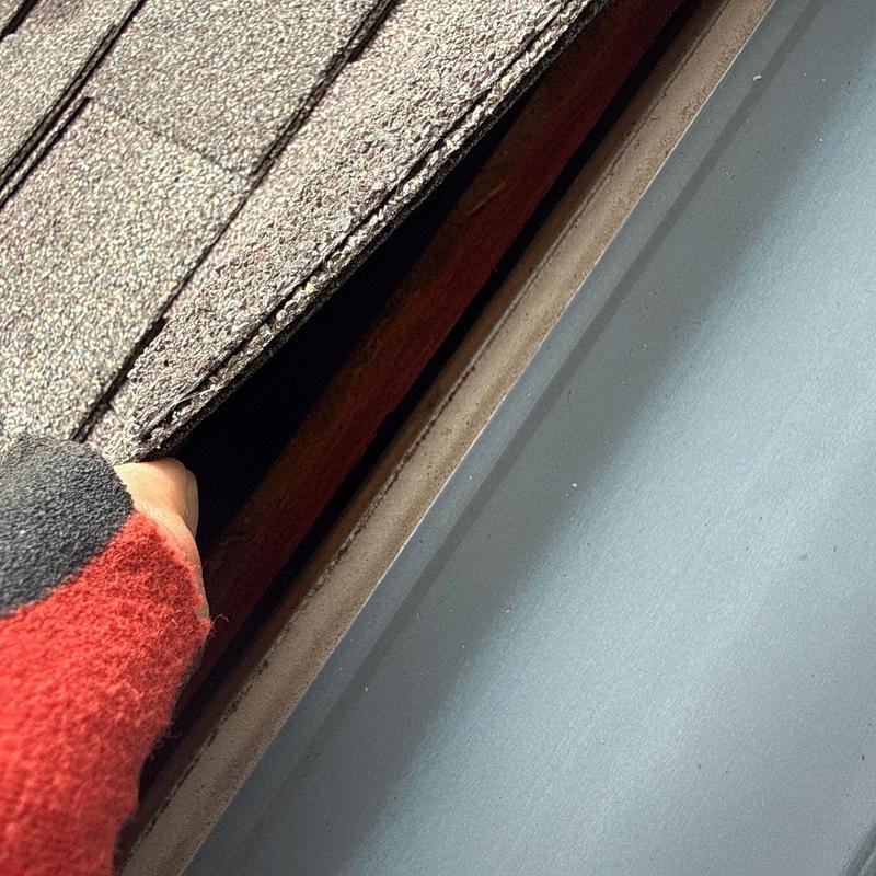 Roof shingle lifted to inspect underlayment condition