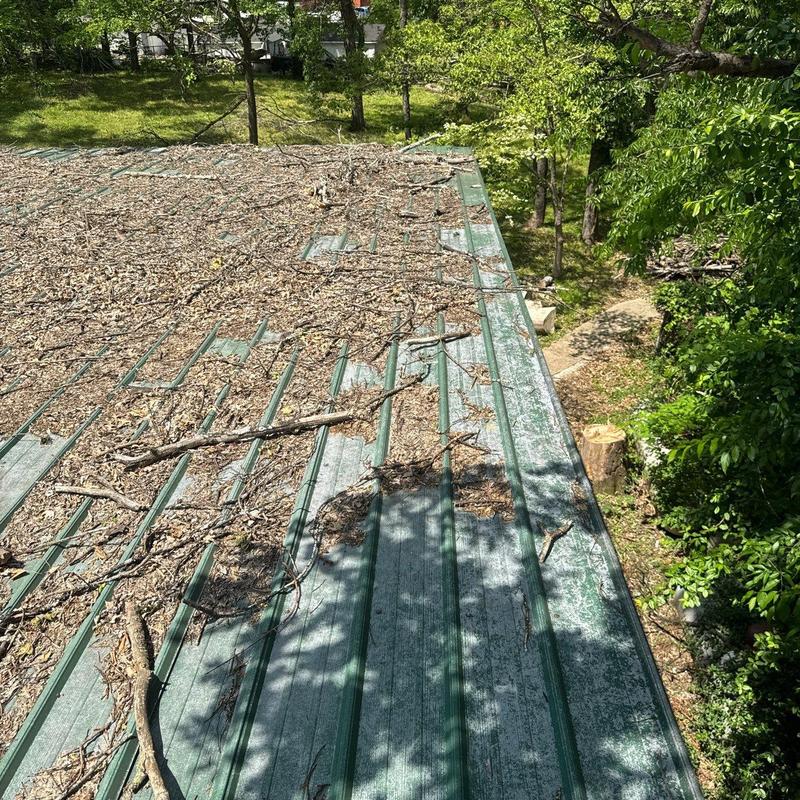 Metal roof with debris and branches on surface