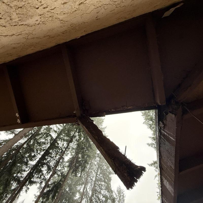 Roof beam with severe rot and water damage under eaves