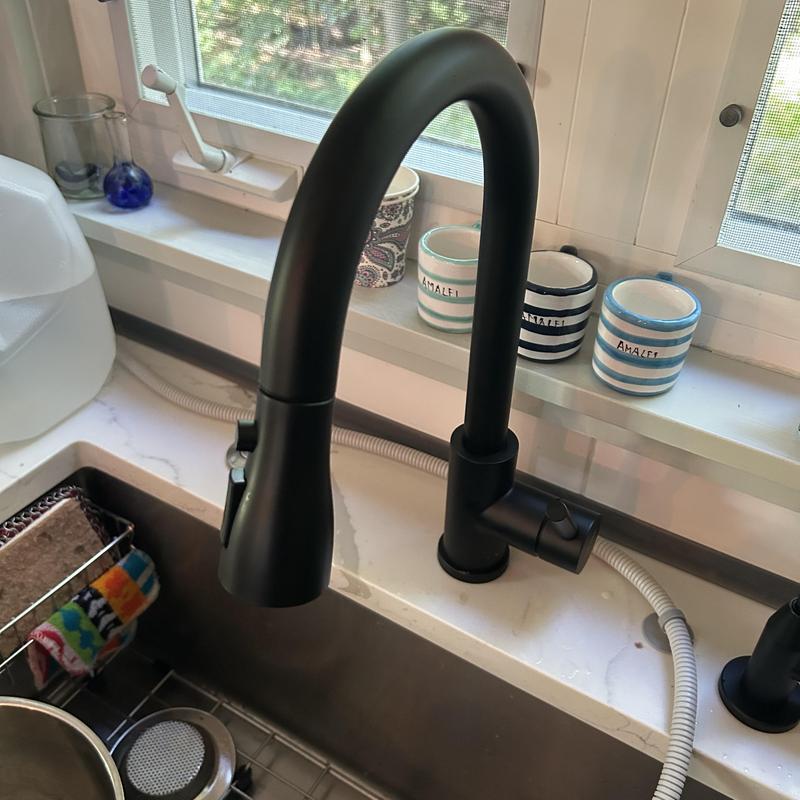 Matte black kitchen faucet installed over stainless sink Matte black kitchen faucet installed over stainless sink