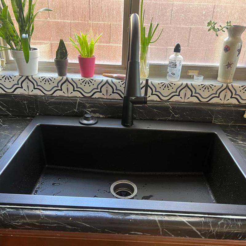Black kitchen sink and faucet installation with plants