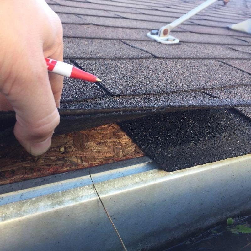 Asphalt roof shingles lifted for inspection
