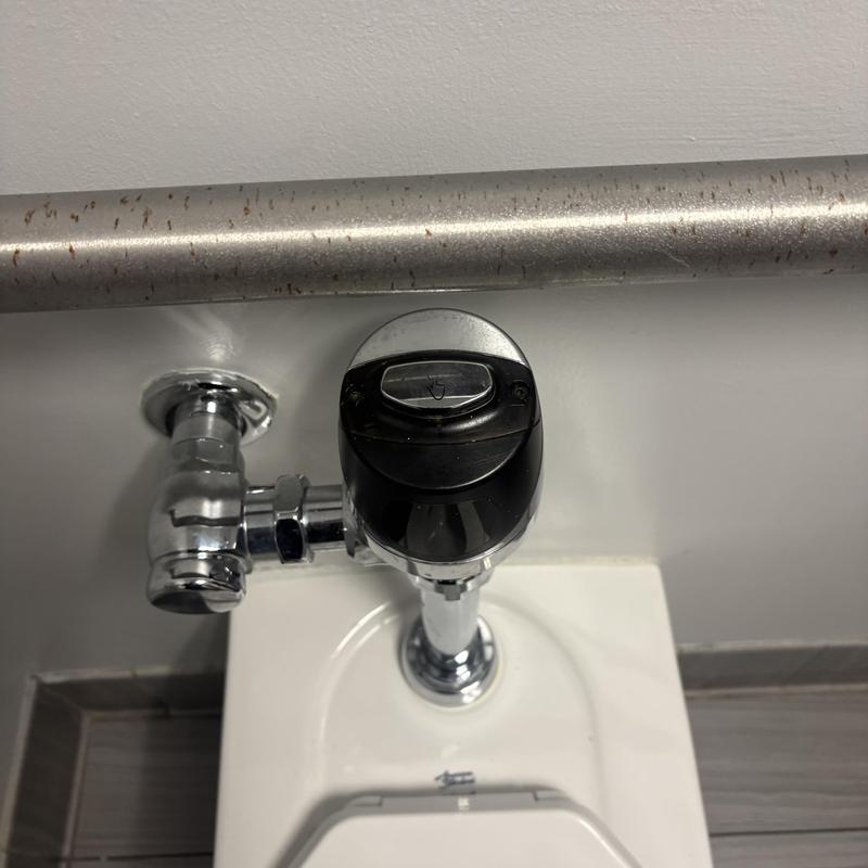 Toilet flush valve and handle in bathroom suite 103 Toilet flush valve and handle in bathroom suite 103