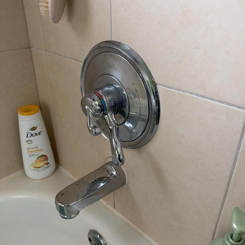 Tub spout and Delta shower valve assembly in bathroom