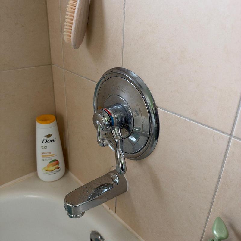 Tub spout and faucet handle in tiled shower wall