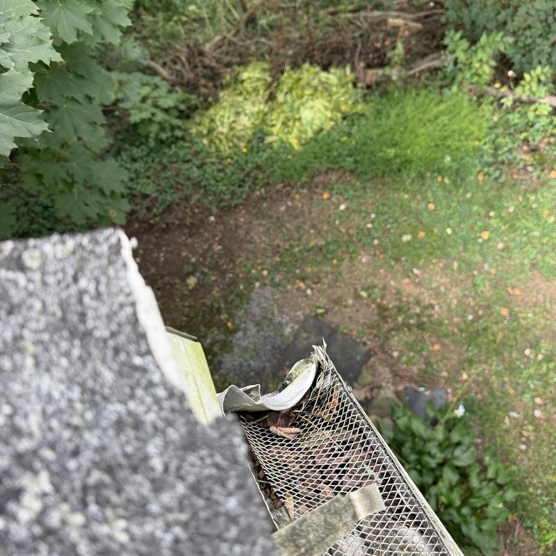 Gutter guard with debris and damaged edge Gutter guard with debris and damaged edge