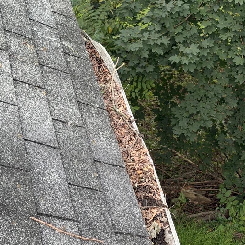 Gutter clogged with leaves near tree coverage Gutter clogged with leaves near tree coverage