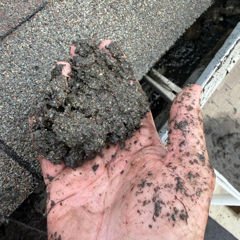 Gutter debris with leaves and shingle granules in hand Gutter debris with leaves and shingle granules in hand