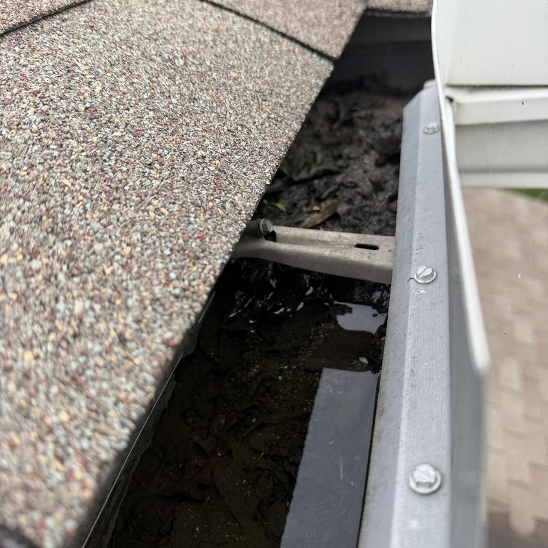 Gutter clogged with leaves and water near roof shingles Gutter clogged with leaves and water near roof shingles