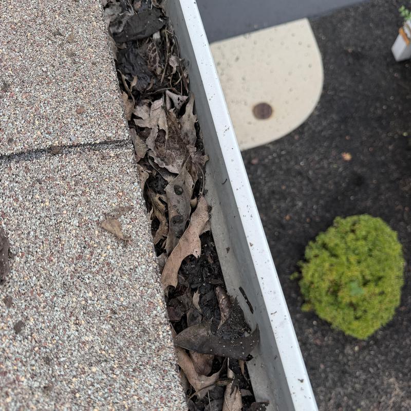 Gutter clogged with leaves and debris on townhome roof Gutter clogged with leaves and debris on townhome roof