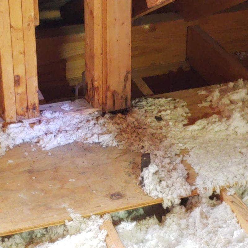 Attic floor insulation with moisture damage and wood framing