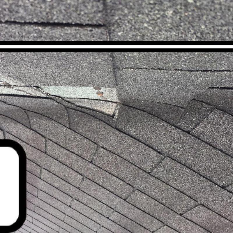 Asphalt roof shingles with hail damage and granule loss