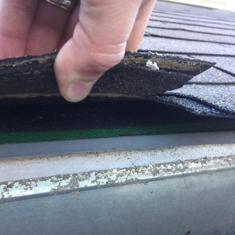Asphalt roof shingles lifted showing underlayment edge