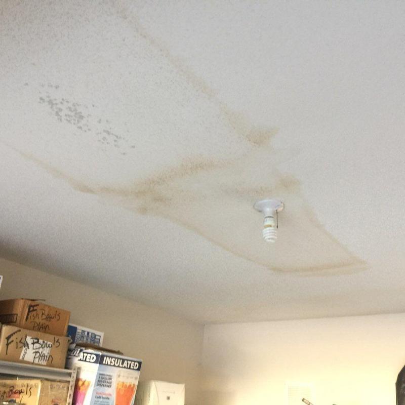 Ceiling water stains and mold spots near light fixture