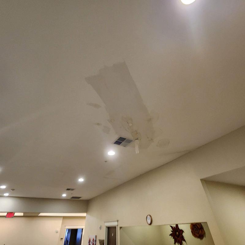 Ceiling drywall with water damage and stains Ceiling drywall with water damage and stains