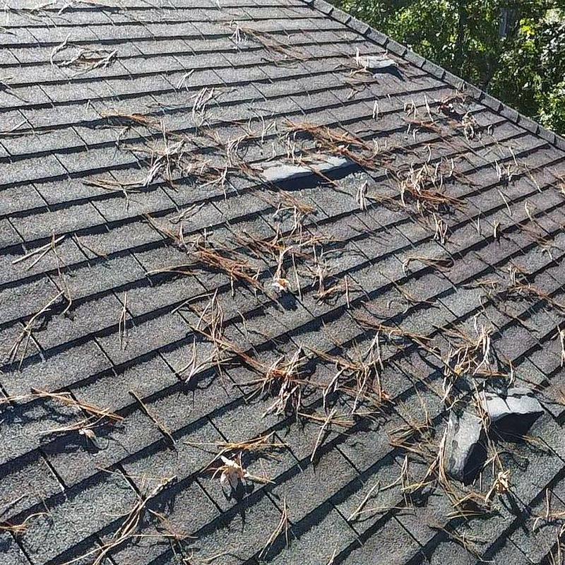 Asphalt shingle roof with pine needles and debris Asphalt shingle roof with pine needles and debris