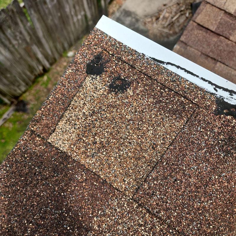 Asphalt roof shingles with hail impact and granule loss Asphalt roof shingles with hail impact and granule loss