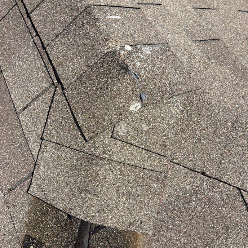 Asphalt roofing shingles with hail damage and granule loss