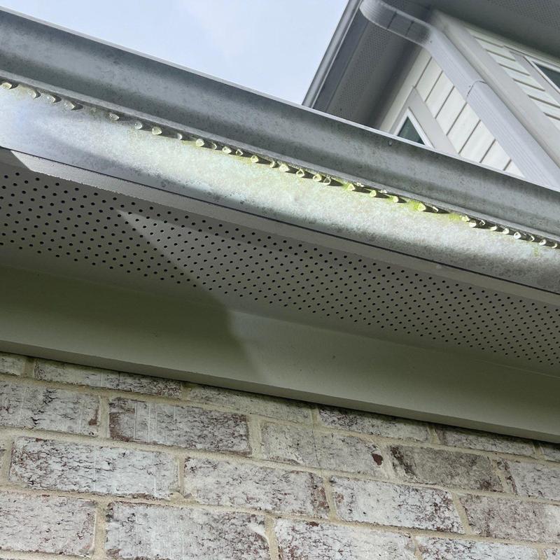 Metal rain gutter with moss buildup under roof edge