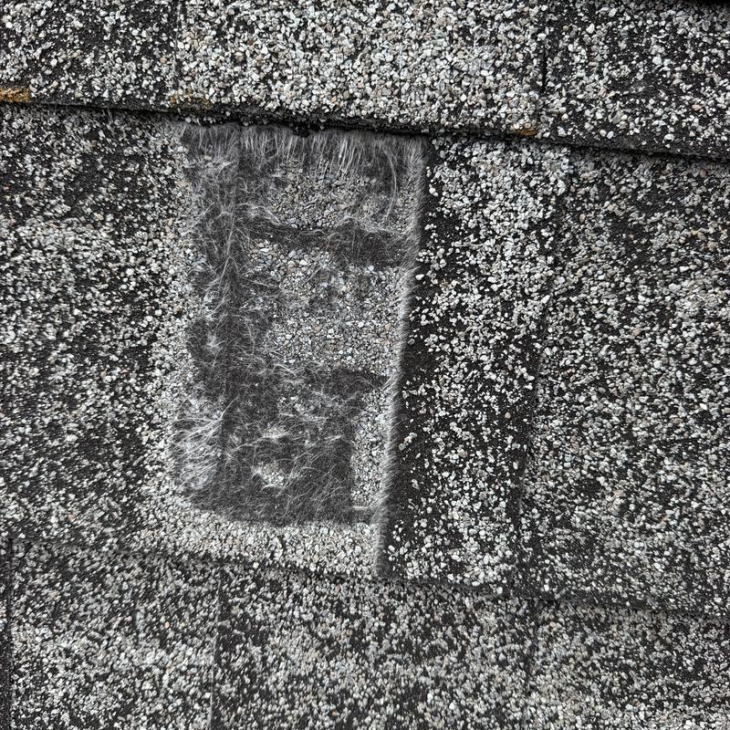 Roof shingle missing granules with exposed mat layer Roof shingle missing granules with exposed mat layer