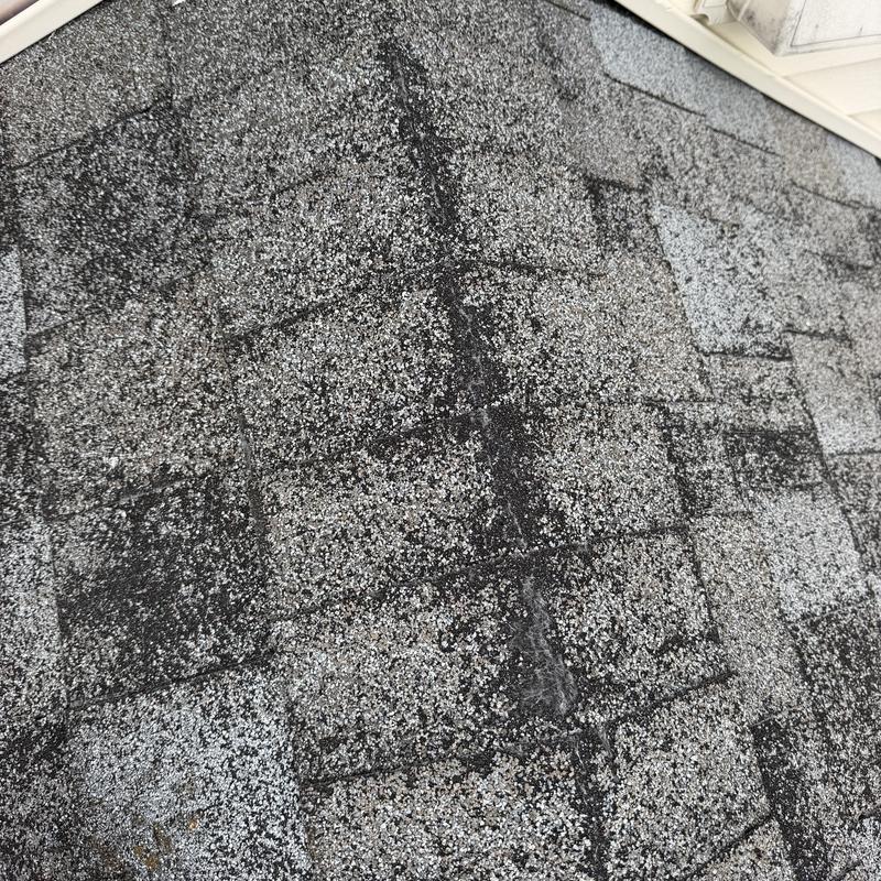 Asphalt shingles with missing granules and wind damage Asphalt shingles with missing granules and wind damage