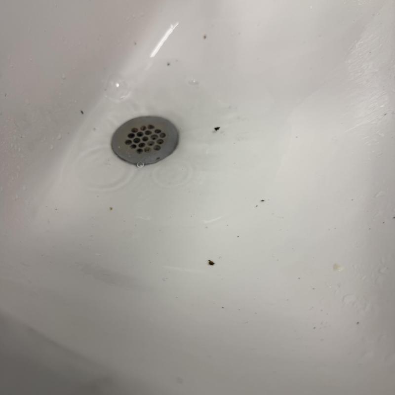 Restroom sink drain with standing water and debris Restroom sink drain with standing water and debris