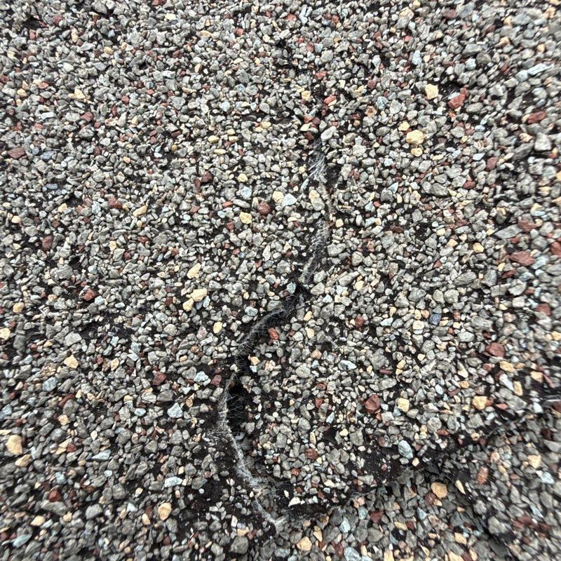 Roof shingles with visible cracking and granule loss