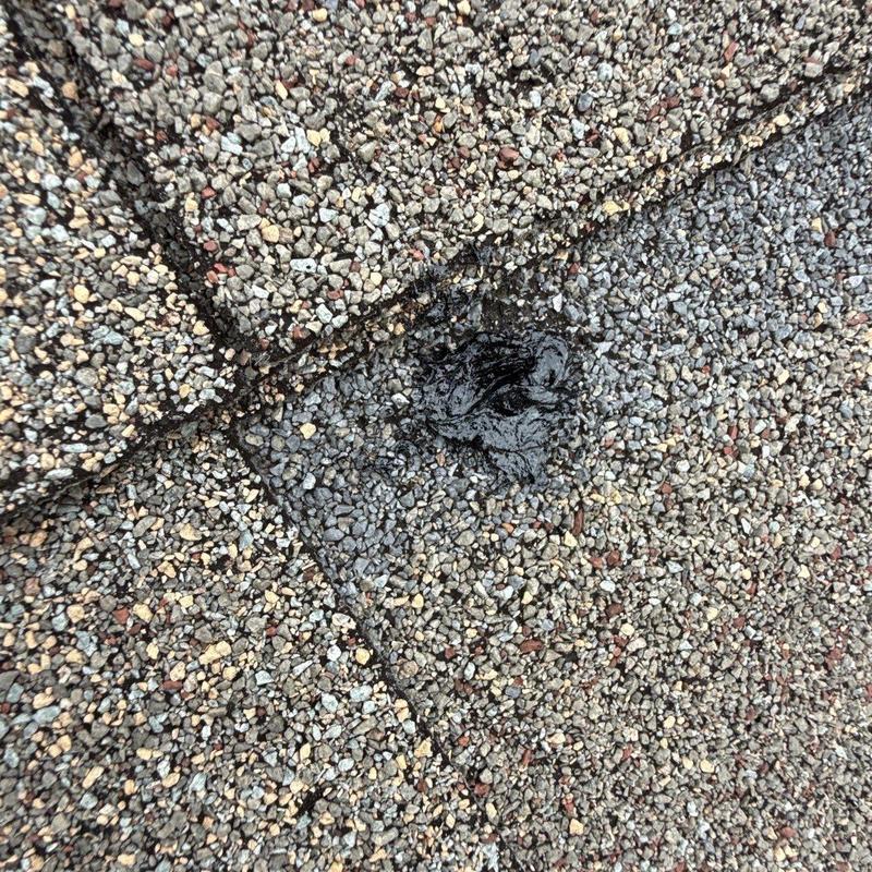Asphalt shingle roof with hail impact and repair sealant