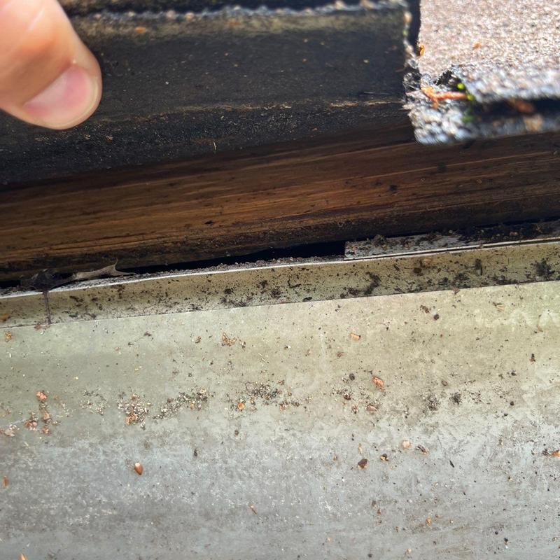 Roof edge with damaged shingle and wood exposure