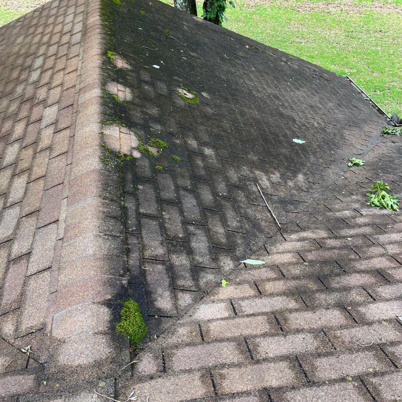 Asphalt shingle roof with moss and debris buildup