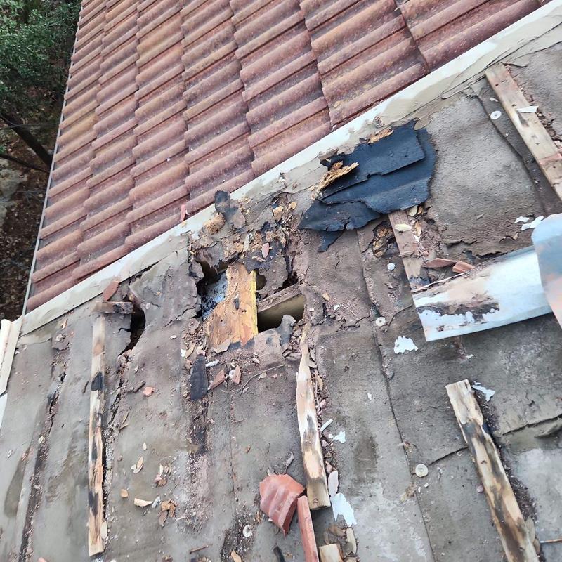 Roof decking with water damage under tile roof Roof decking with water damage under tile roof